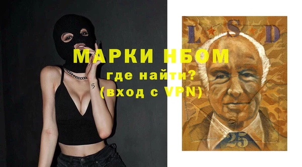 стаф Арсеньев
