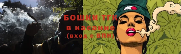 индика Аркадак