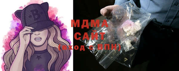 индика Аркадак