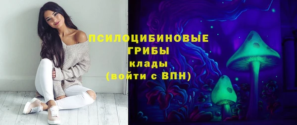 стаф Арсеньев
