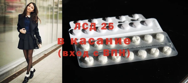 стаф Арсеньев