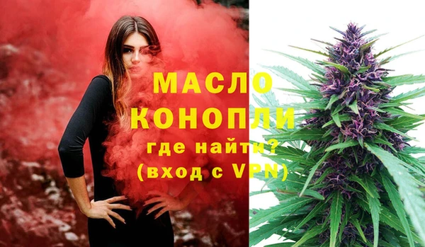 индика Аркадак