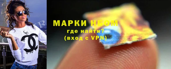 индика Аркадак
