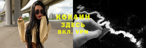 индика Аркадак
