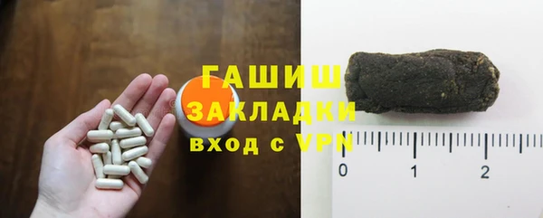 индика Аркадак