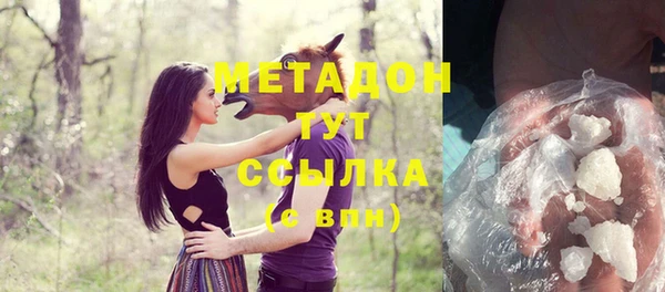 индика Аркадак