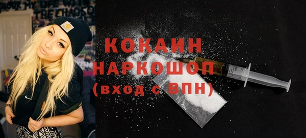 индика Аркадак